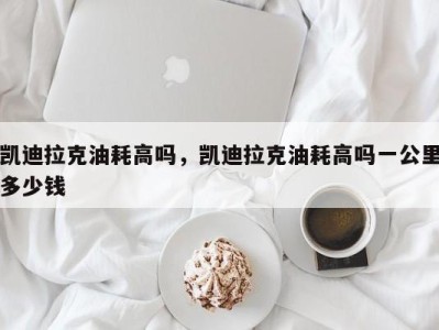 凯迪拉克油耗高吗，凯迪拉克油耗高吗一公里多少钱