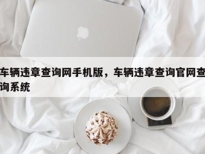 车辆违章查询网手机版，车辆违章查询官网查询系统