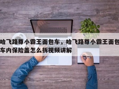 哈飞路尊小霸王面包车，哈飞路尊小霸王面包车内保险盖怎么拆视频讲解