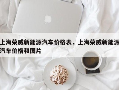 上海荣威新能源汽车价格表，上海荣威新能源汽车价格和图片